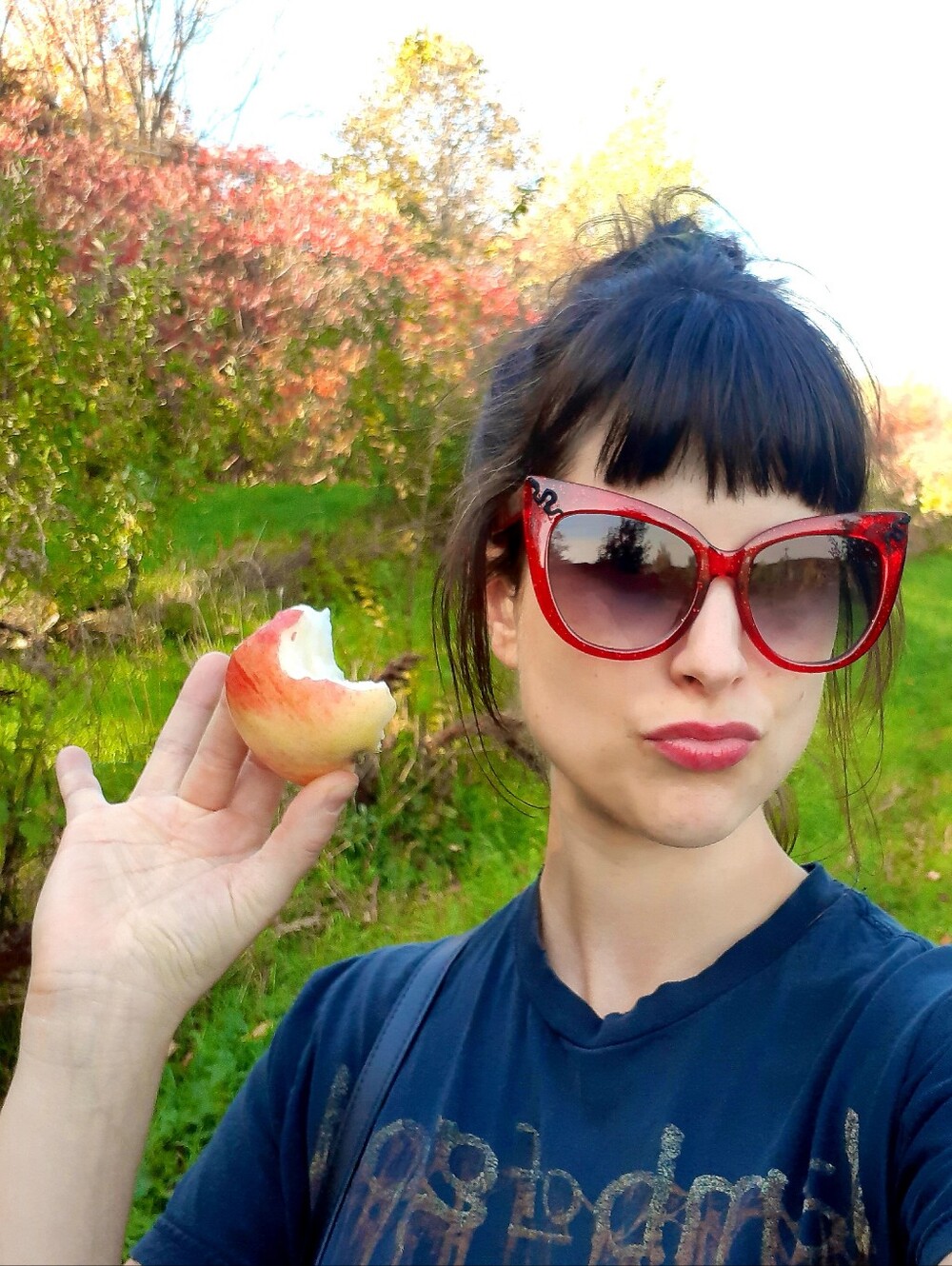 Bloody Red Glitter Goth Cat-Eye Sunglasses With black Snakes.